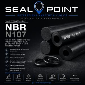 NBR N107